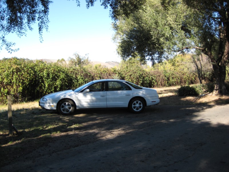 1361 hey that's my car.JPG