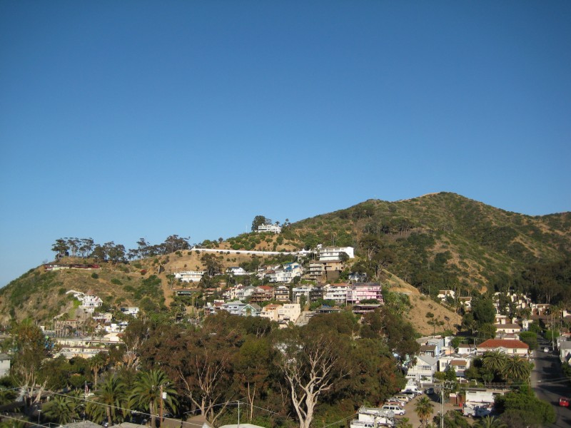 IMG_2435.JPG