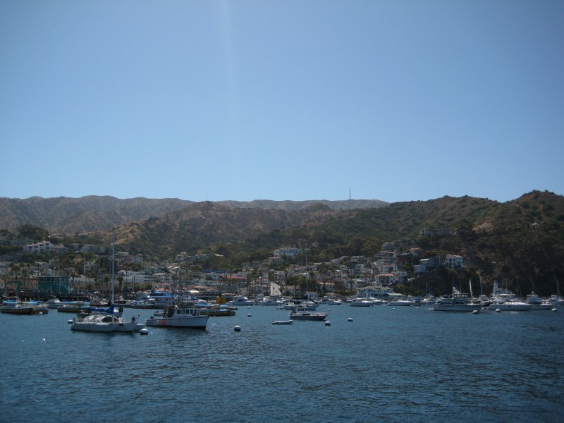 IMG_2581.JPG