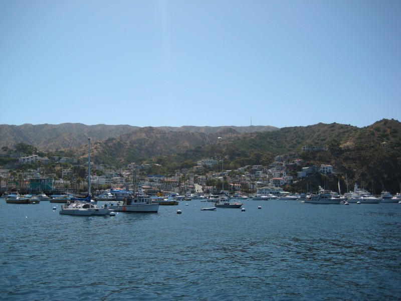 IMG_2593.JPG