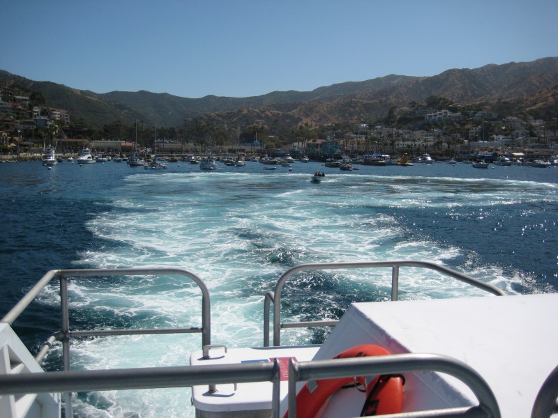 IMG_2611.JPG