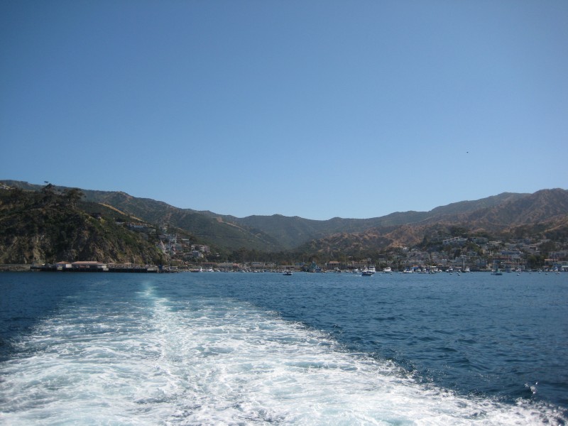 IMG_2616.JPG