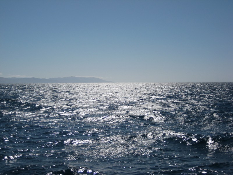 IMG_2663.JPG