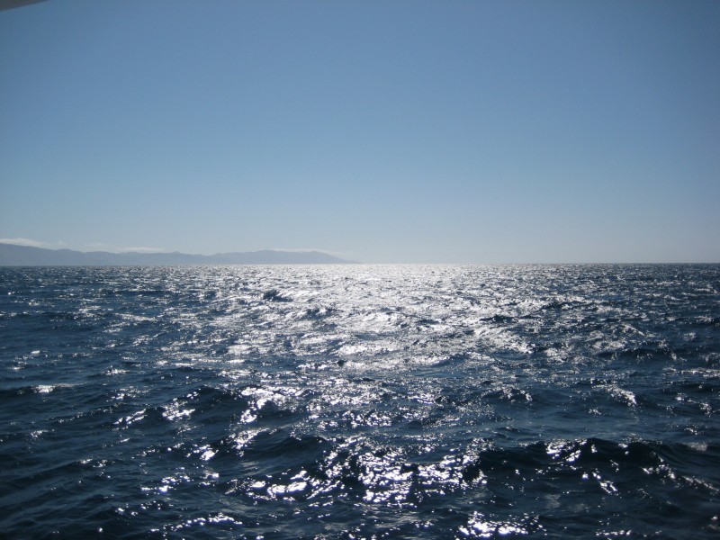 IMG_2668.JPG