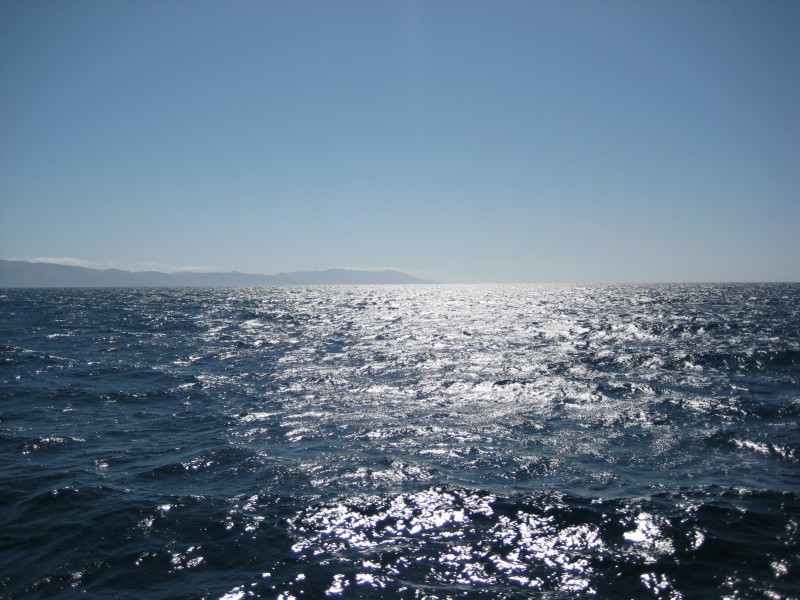 IMG_2671.JPG