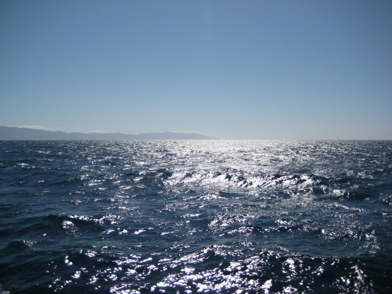 IMG_2673.JPG