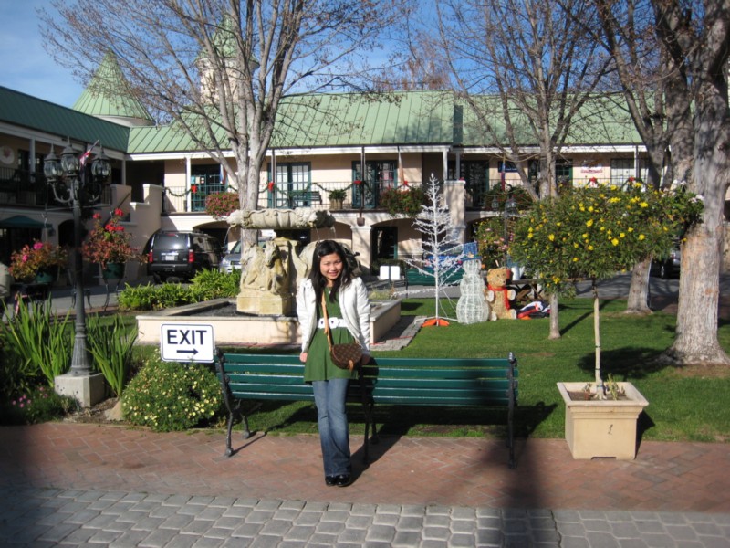 1291 back yard.JPG